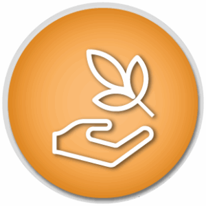 A donation icon showing a giving hand with a leaf above it, in white on an orange background